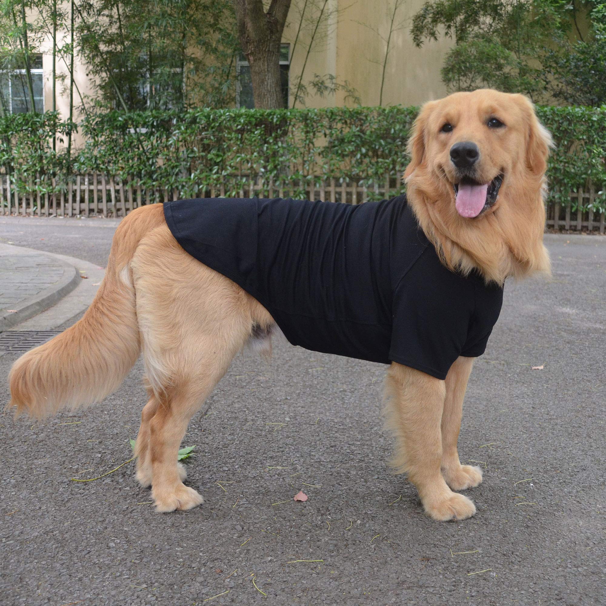 Lovelonglong pet t-shirt machine washable with smooth surface for quick cleanup.