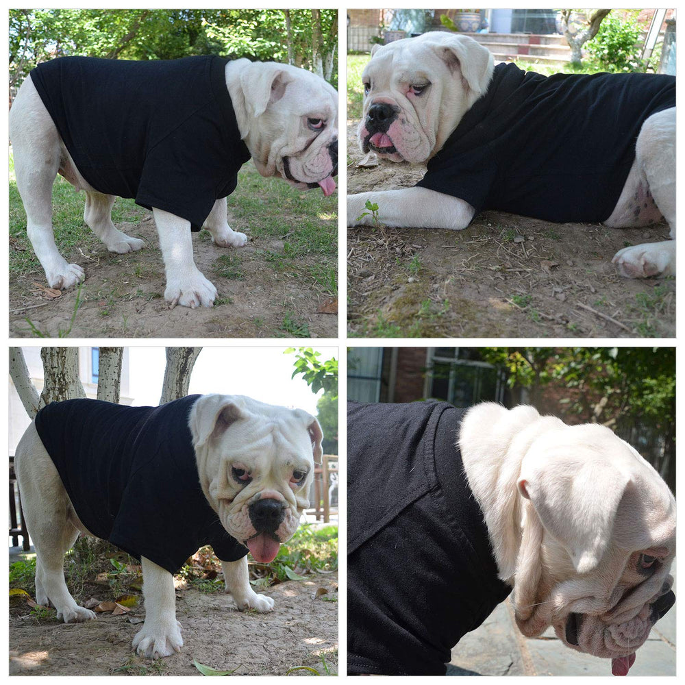 Lovelonglong pet t-shirt high-quality craftsmanship with satisfaction guarantee.
