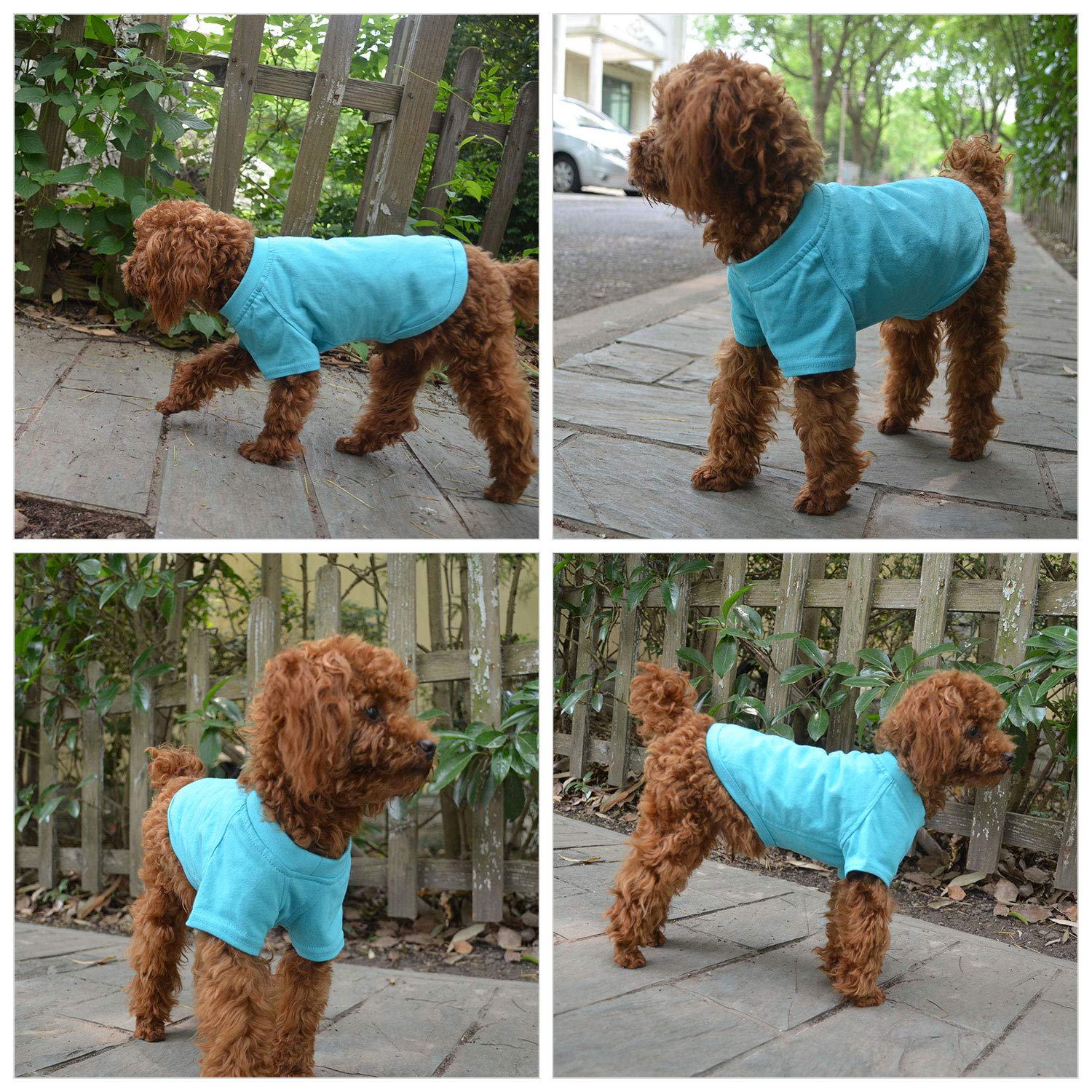 Lovelonglong turquoise T-shirt showcases 18 color options for versatile wardrobe.