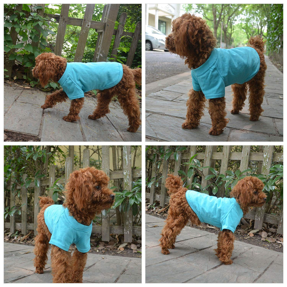 Lovelonglong turquoise T-shirt showcases 18 color options for versatile wardrobe.