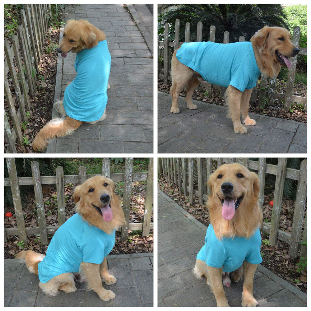 Lovelonglong pet tee in turquoise XXL ready for outdoor walks.