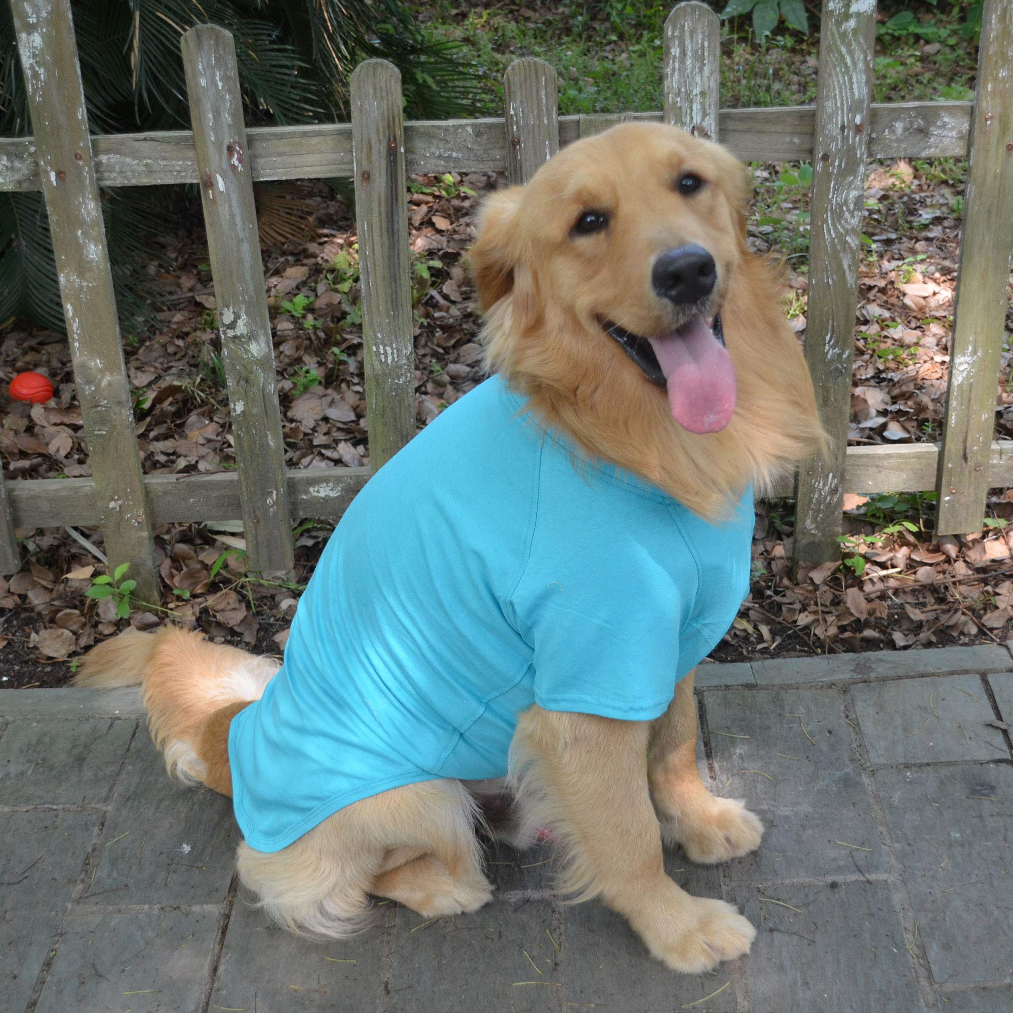 Lovelonglong dog clothing close-up shows easy-wash machine-washable feature.