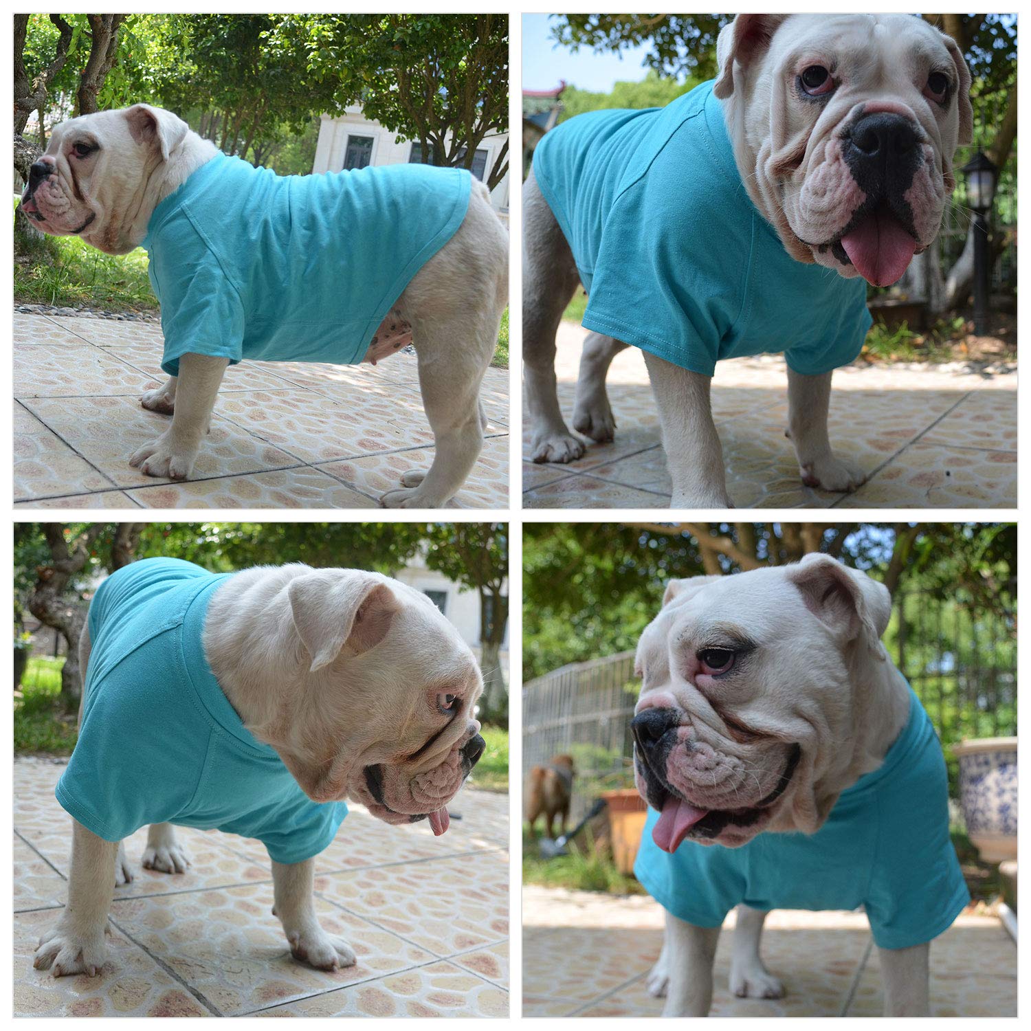 Lovelonglong casual T-shirt in turquoise highlights everyday wearability.