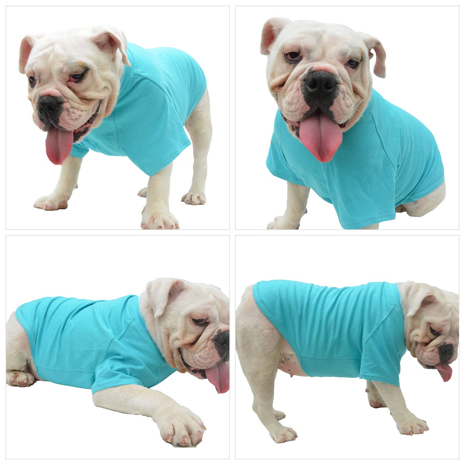 Lovelonglong turquoise XXL tee paired with any collar easy to layer.