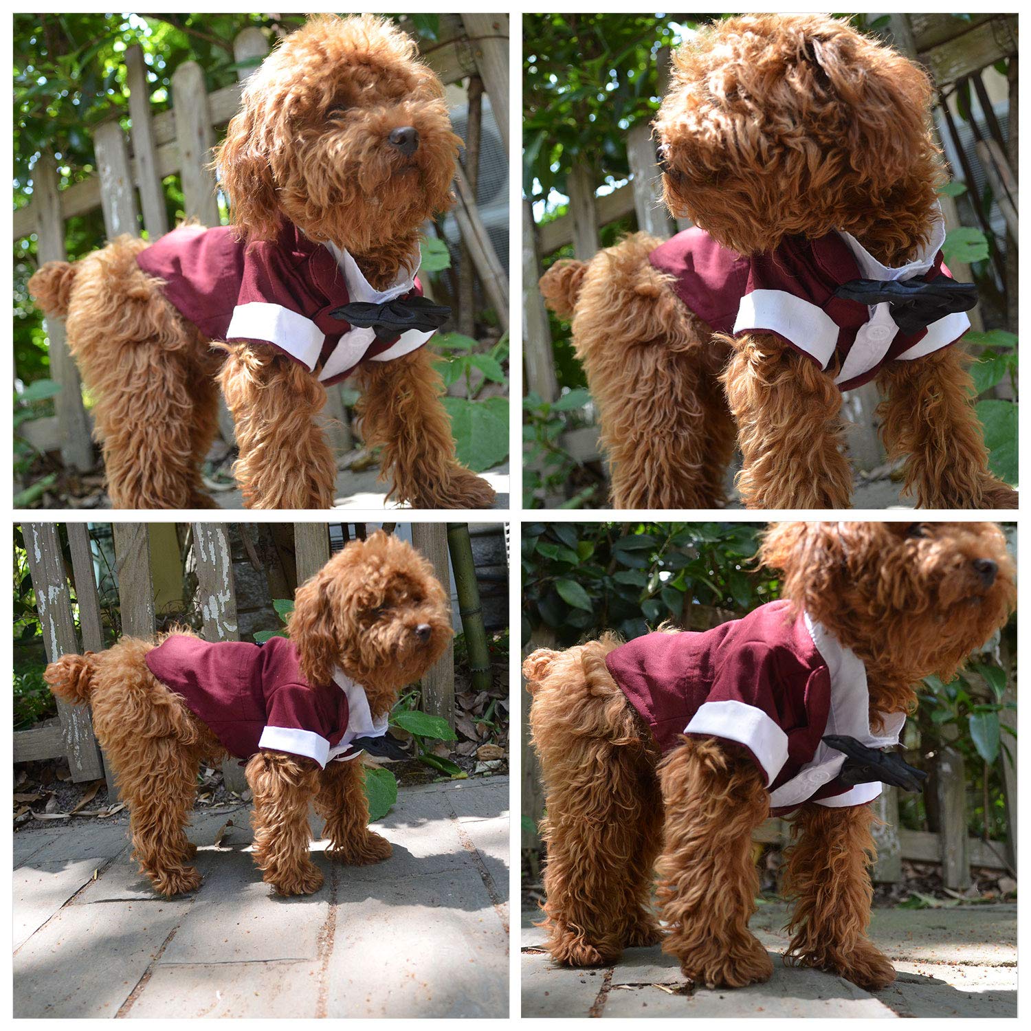 Lovelonglong pet tuxedo back closure shows easy on/off for quick dressing.