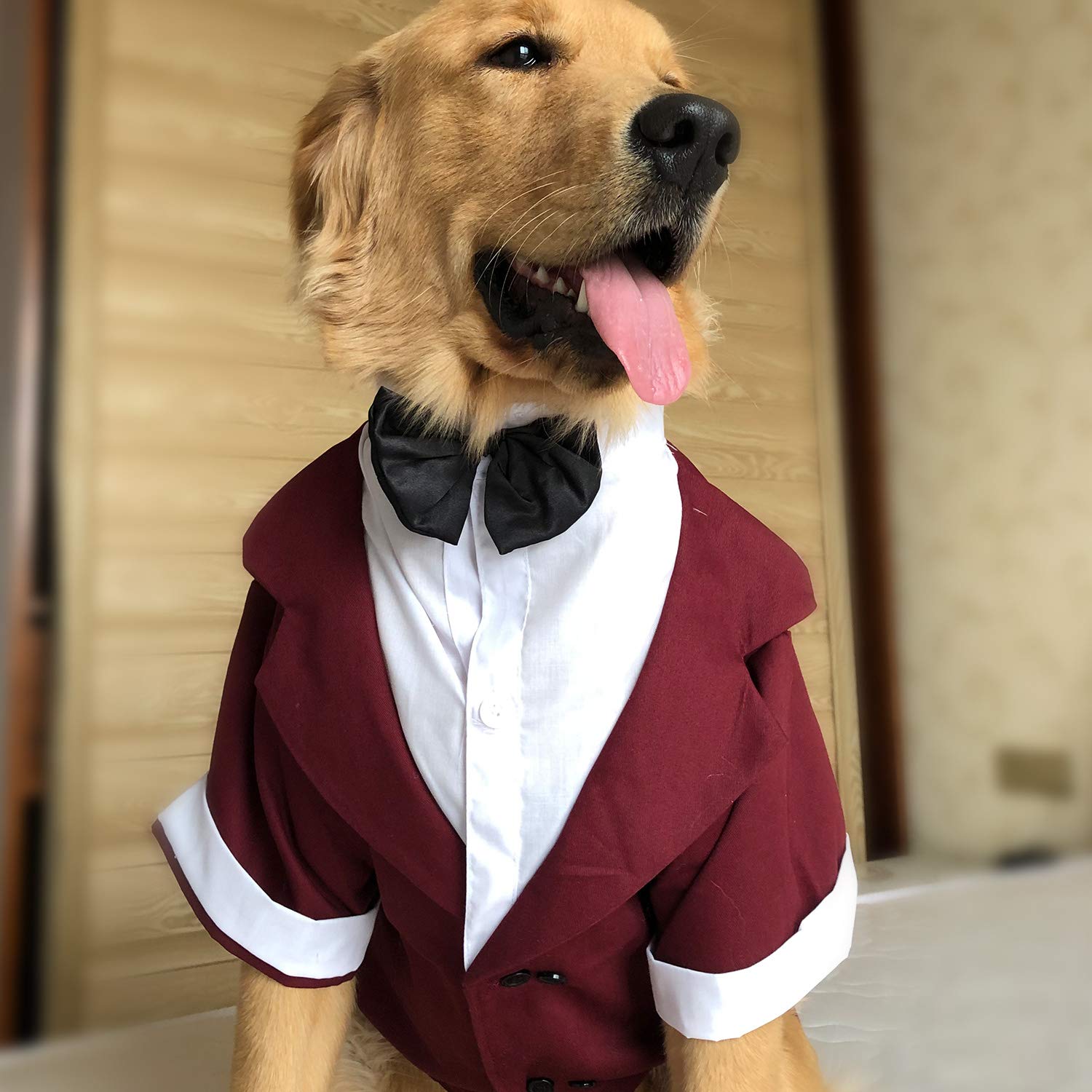 Lovelonglong pet tuxedo reddish-brown color adds vintage, classy appeal.