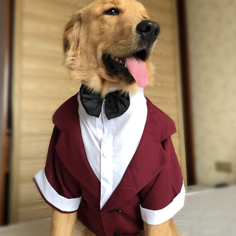 Lovelonglong pet tuxedo reddish-brown color adds vintage, classy appeal.