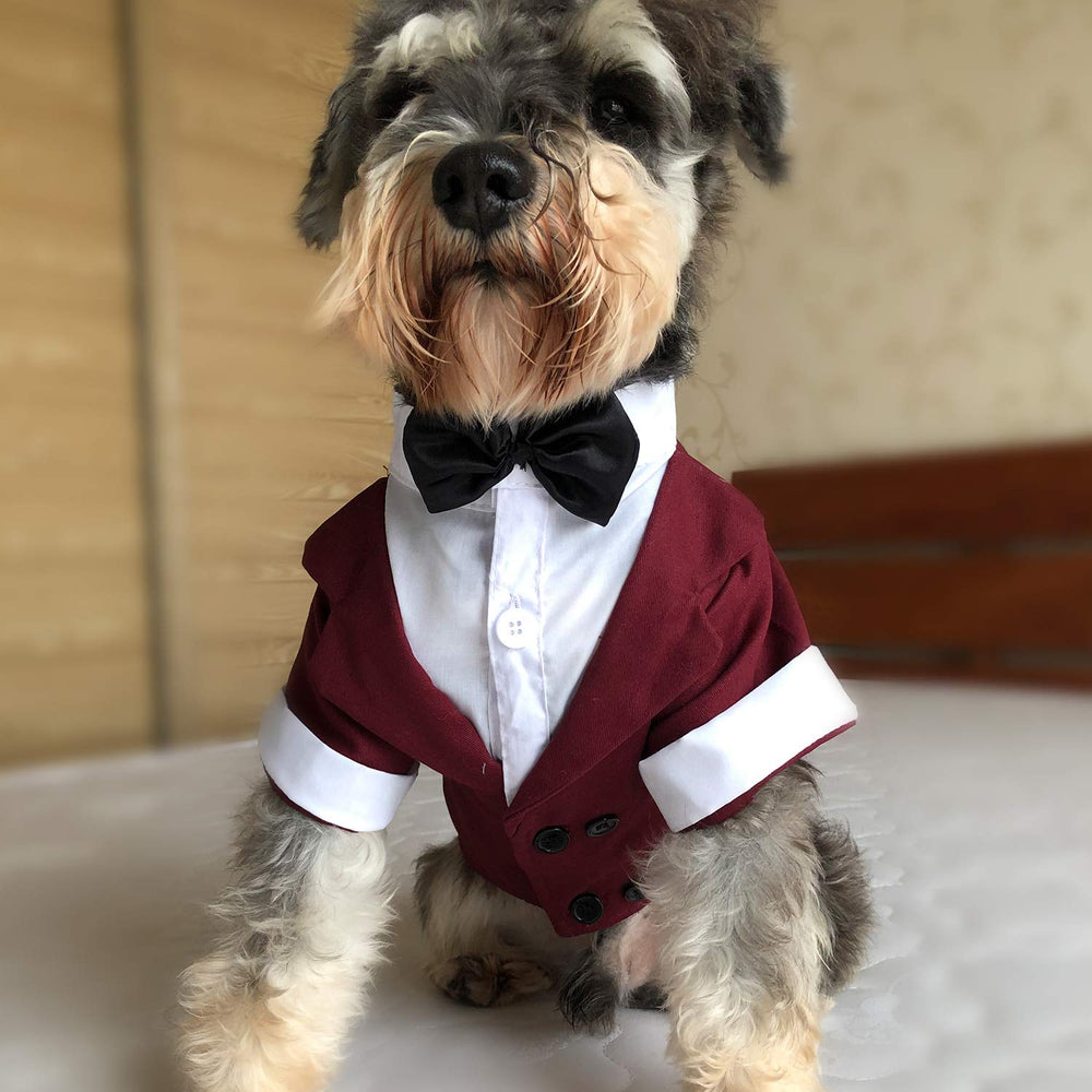 Lovelonglong pet tuxedo wearing dog demonstrates tailored fit and style.