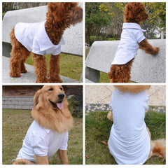 Lovelonglong polo color collection shows vibrant options to express your dog's personality.