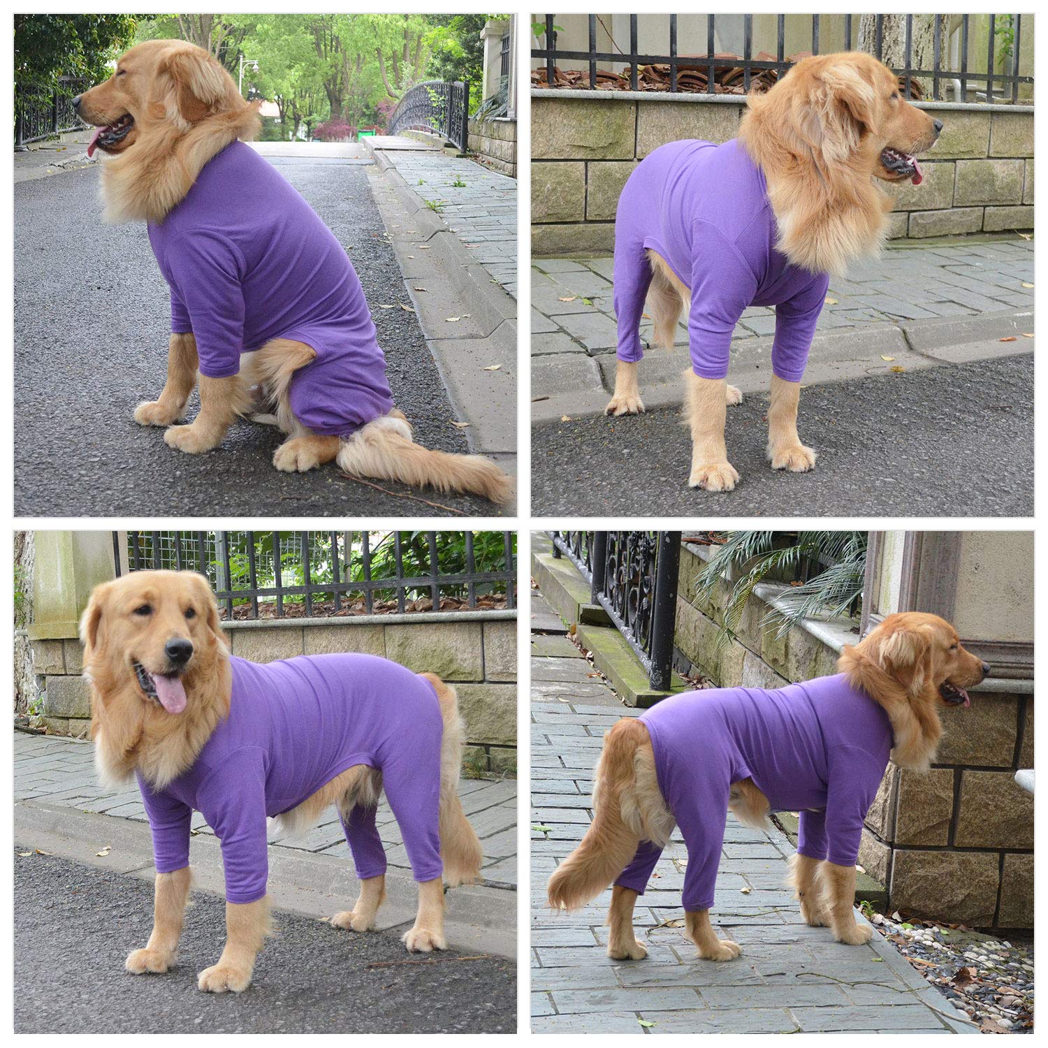 Lovelonglong puppy costume purple season-friendly style for playful dogs