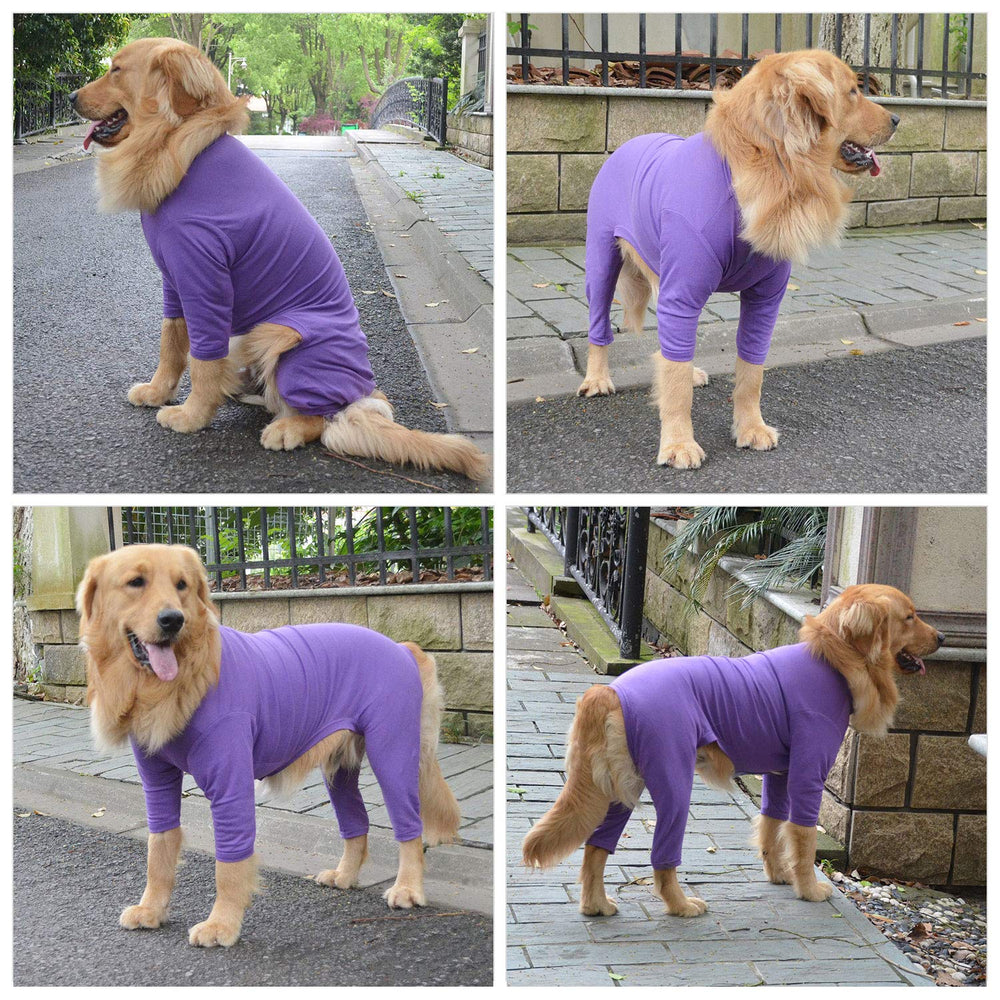 Lovelonglong puppy costume purple season-friendly style for playful dogs