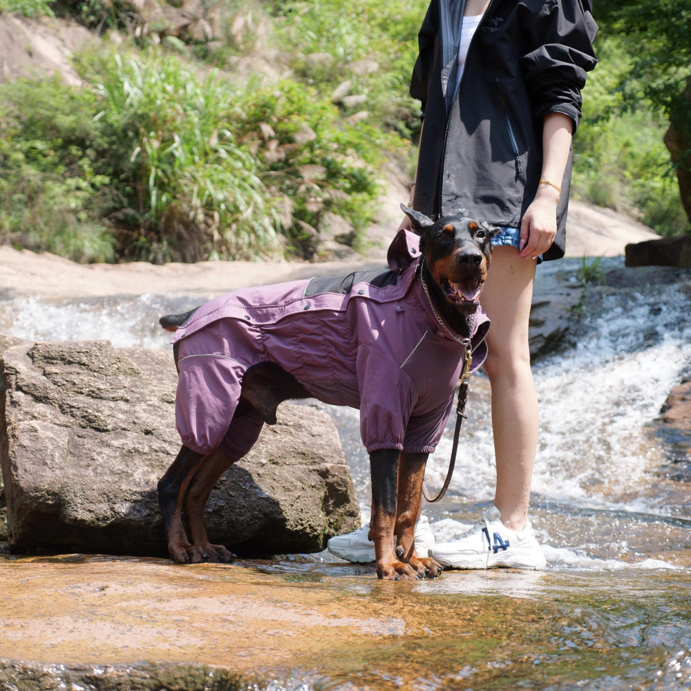 Lovelonglong raincoat removable-hood plum-purple demonstrates adaptable weather protection