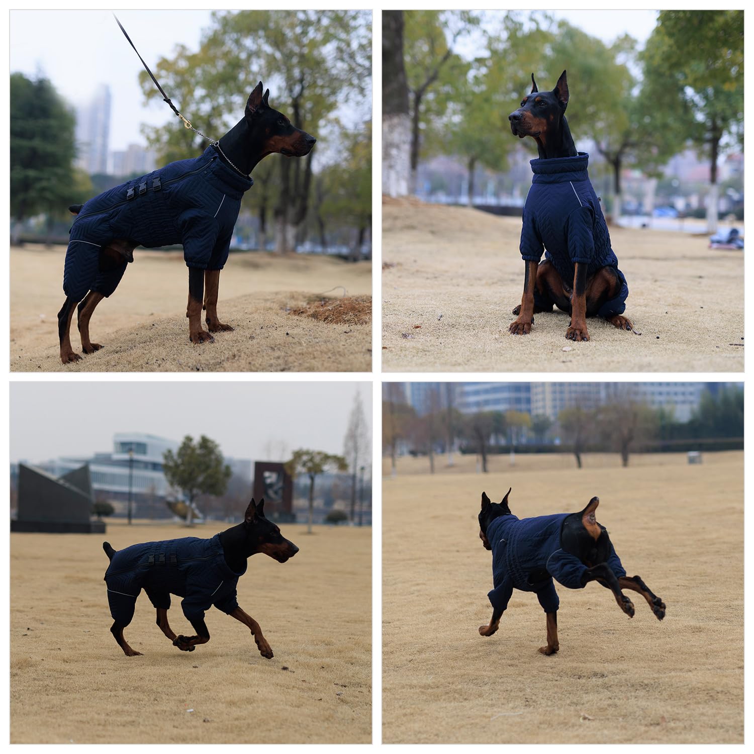 Lovelonglong Warm Dog Coat dual buckles provide quick, adjustable fit