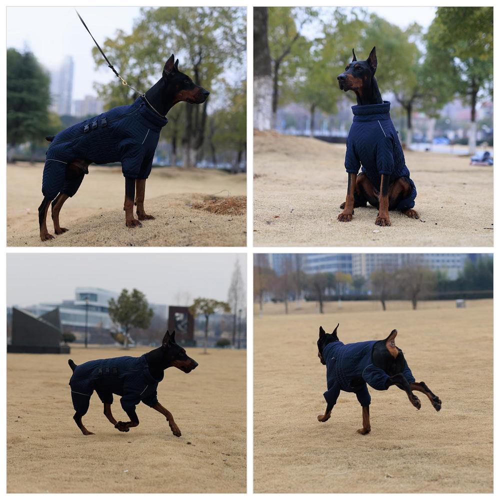 Lovelonglong Warm Dog Coat dual buckles provide quick, adjustable fit
