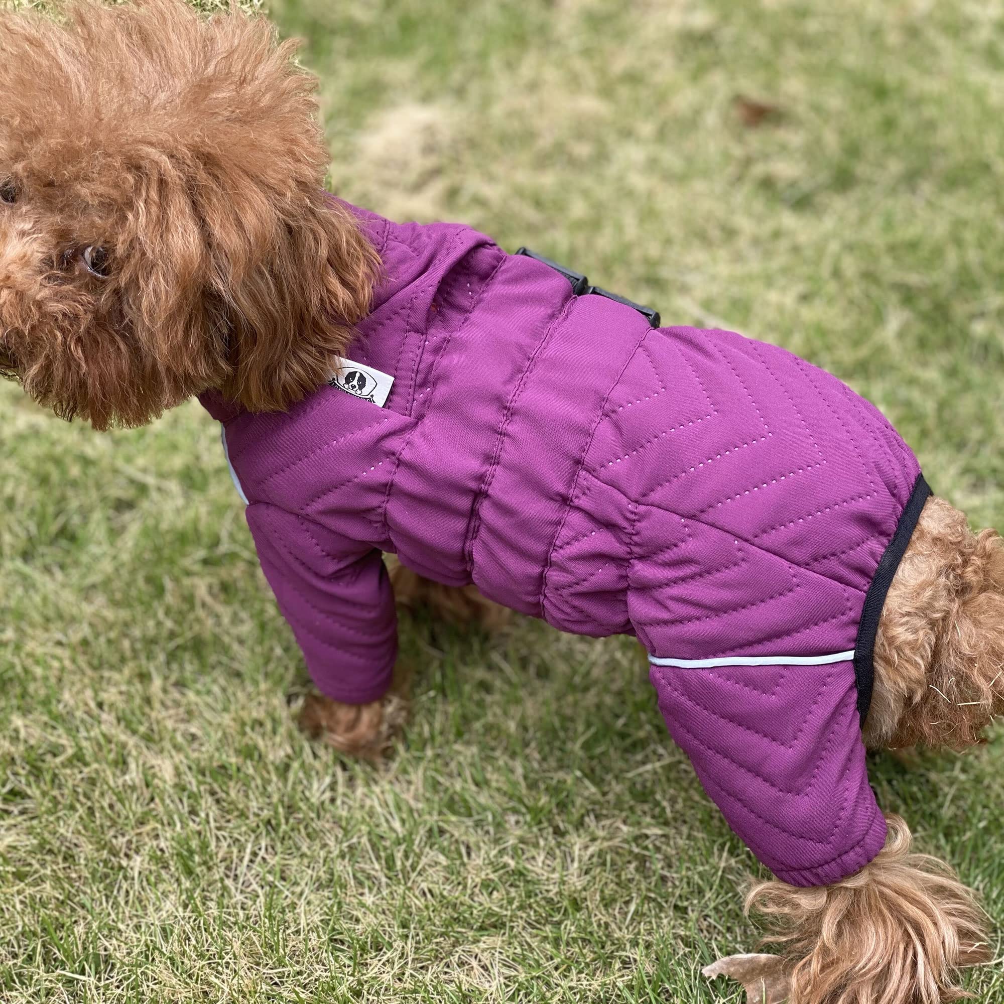 Lovelonglong Warm Dog Coat dual buckles and zipper for quick secure fit