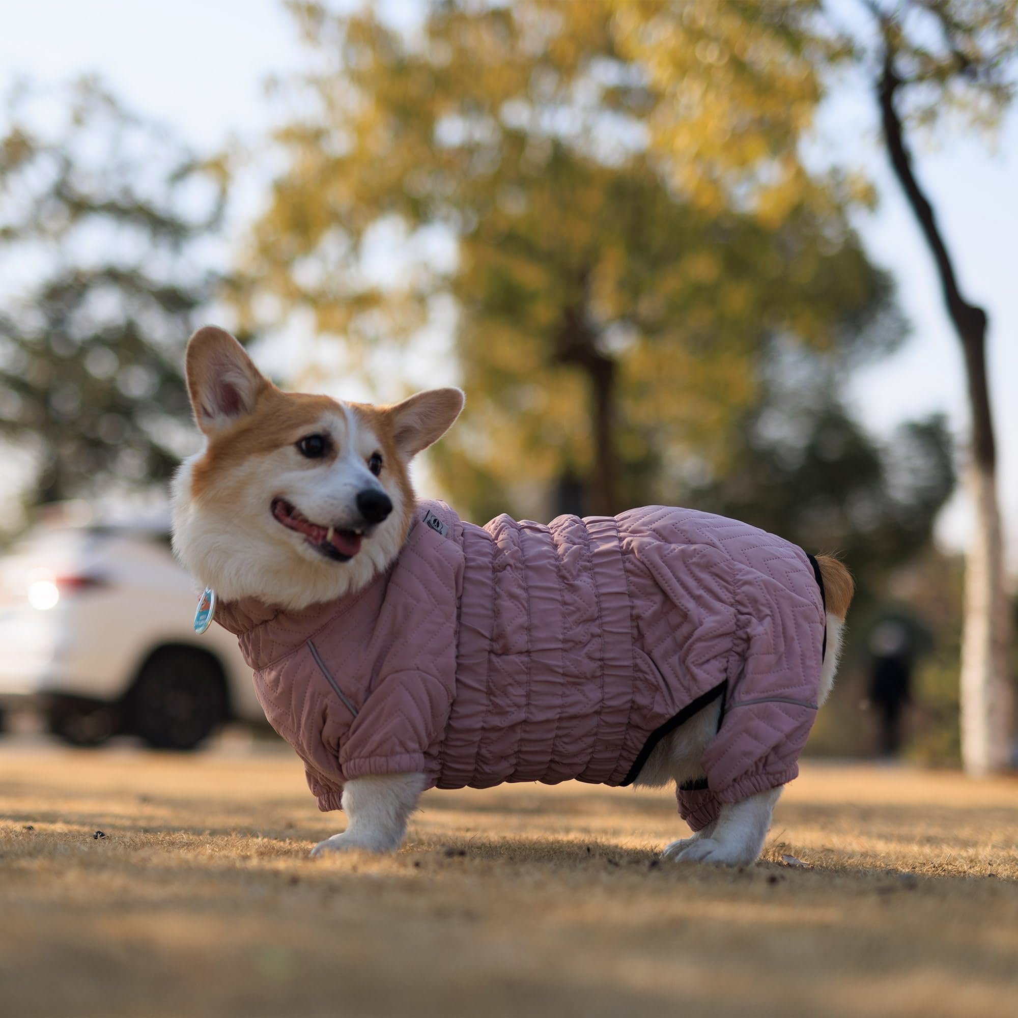 Lovelonglong warm dog coat lotus pink DL size range XS to 5XL for many breeds