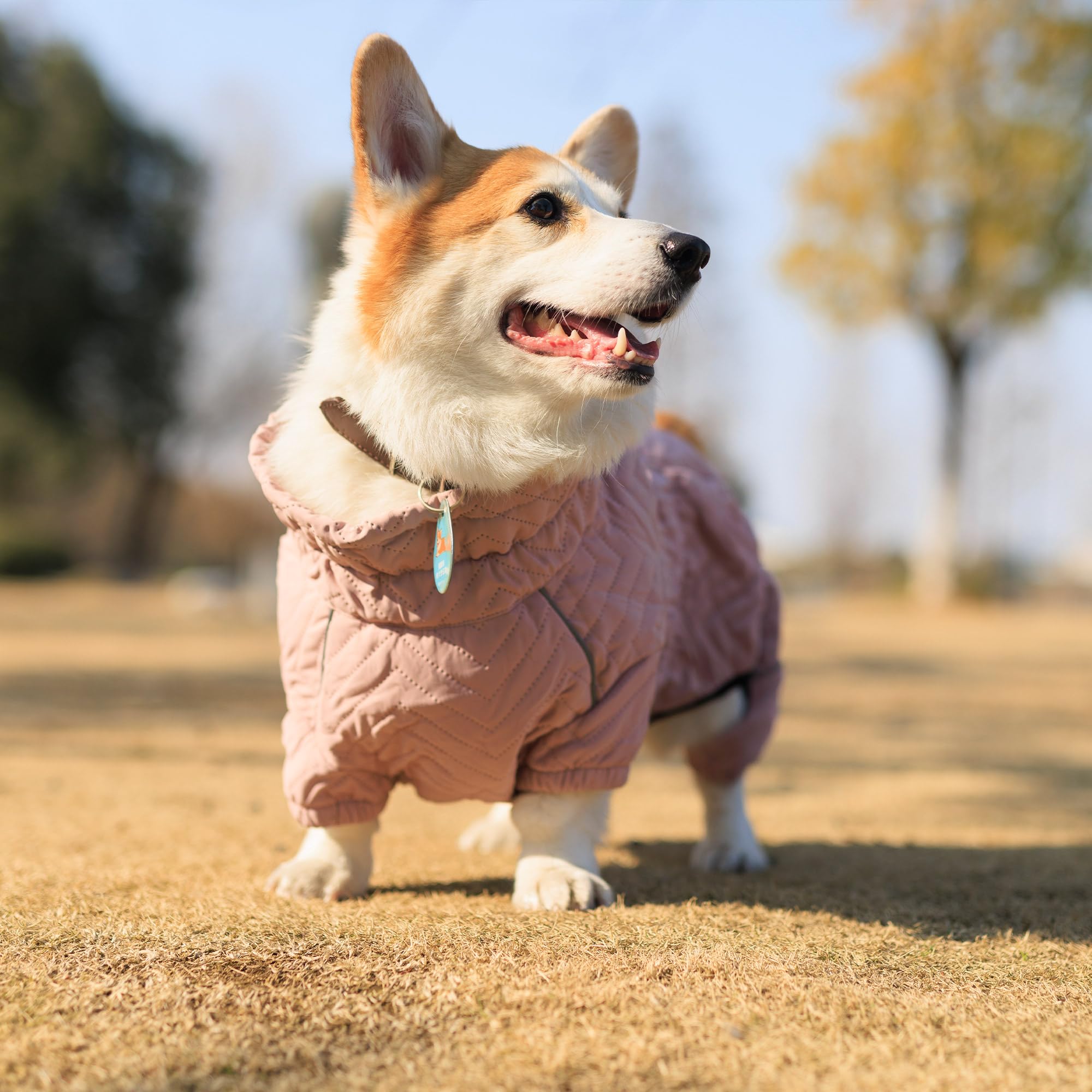 Lovelonglong warm dog coat lotus pink DL cozy winter outfit for outdoor play