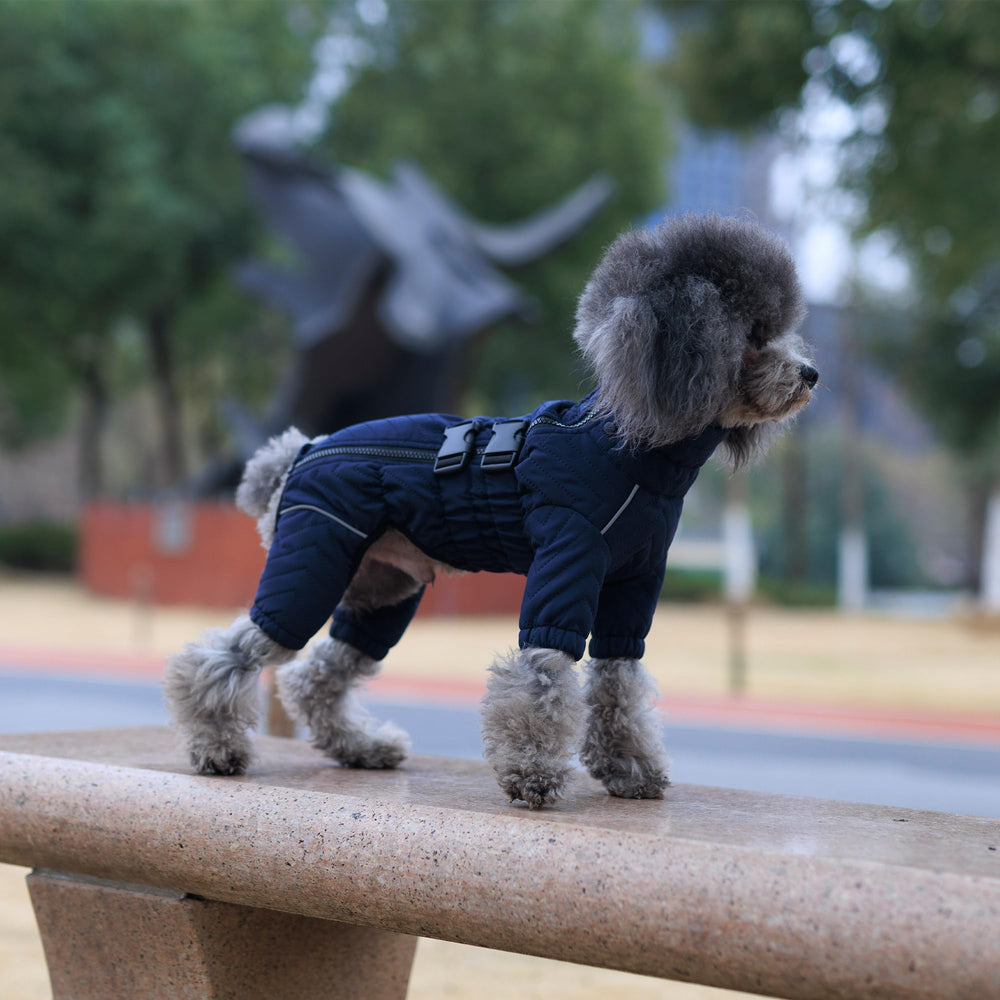 Lovelonglong Warm Dog Coat navyblue XL ready for outdoor adventures