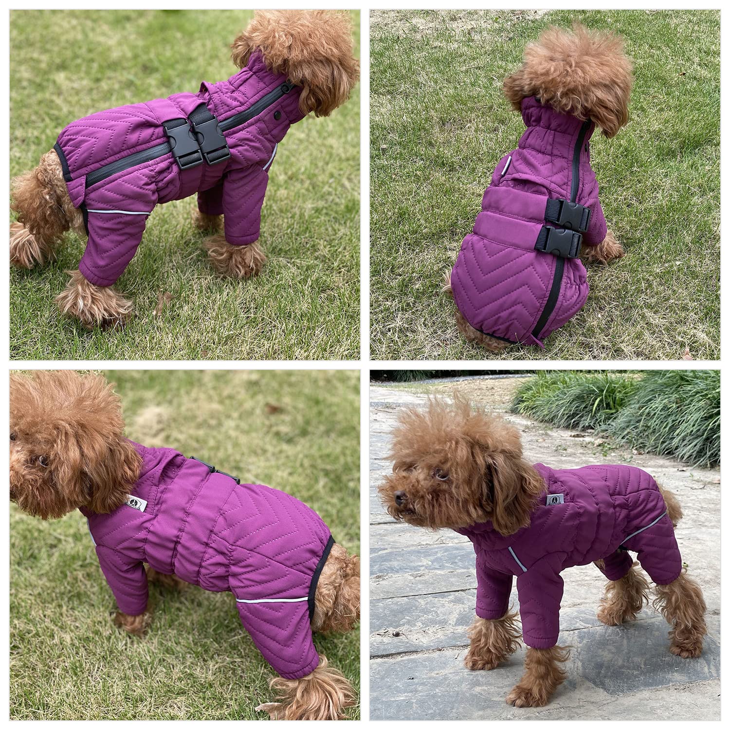 Lovelonglong Warm Dog Coat waterproof outer fabric sheds rain