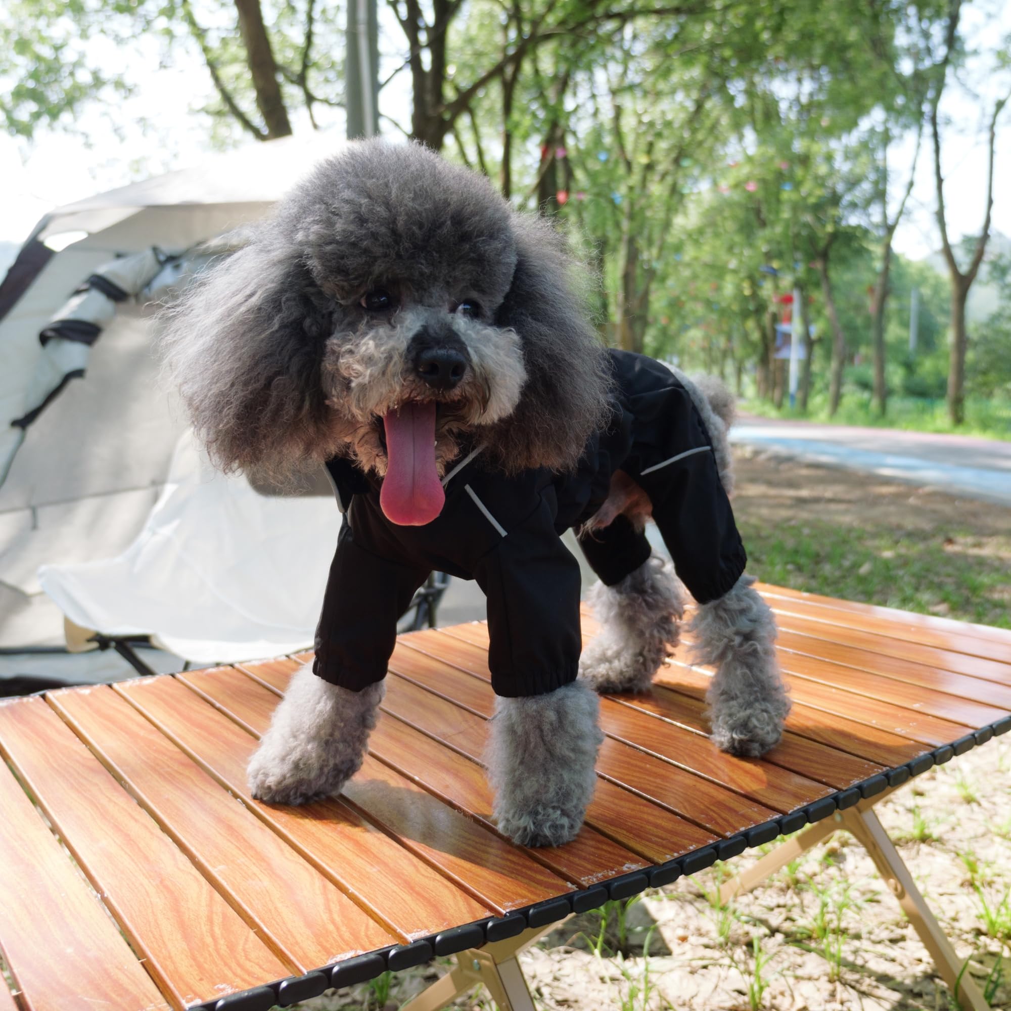 Lovelonglong all-season design suits hiking, walking, and daily use in rain or shine.