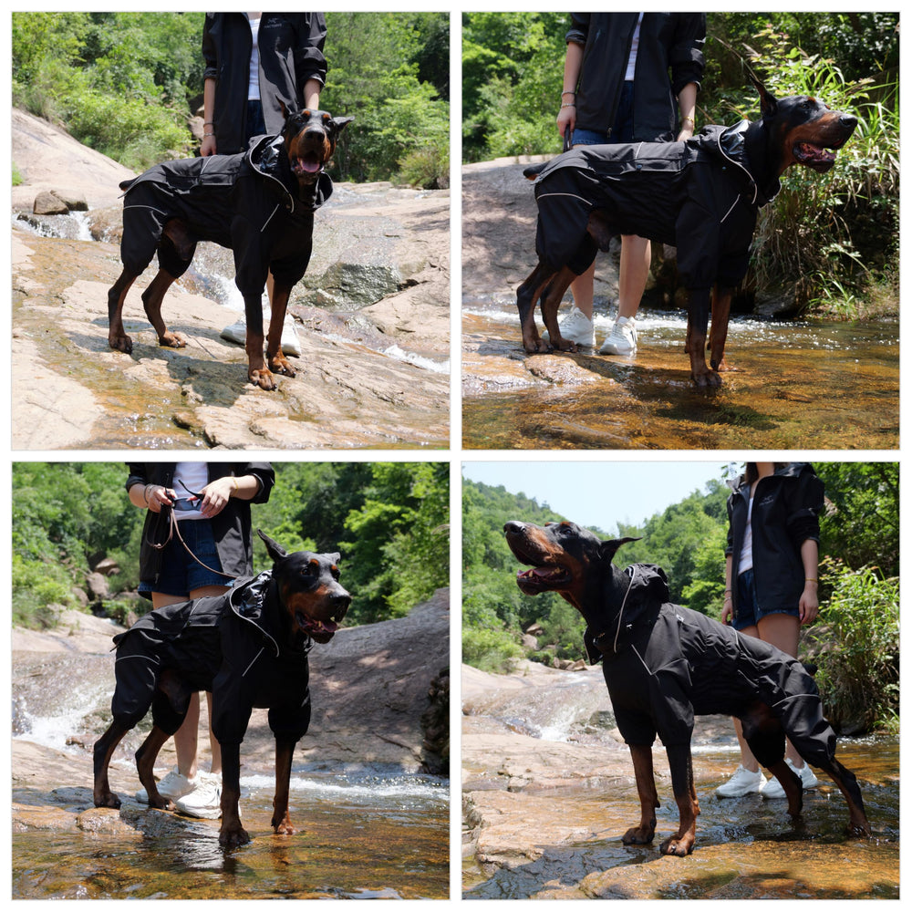 Lovelonglong chest-adjustable raincoat provides snug comfortable fit for active dogs.