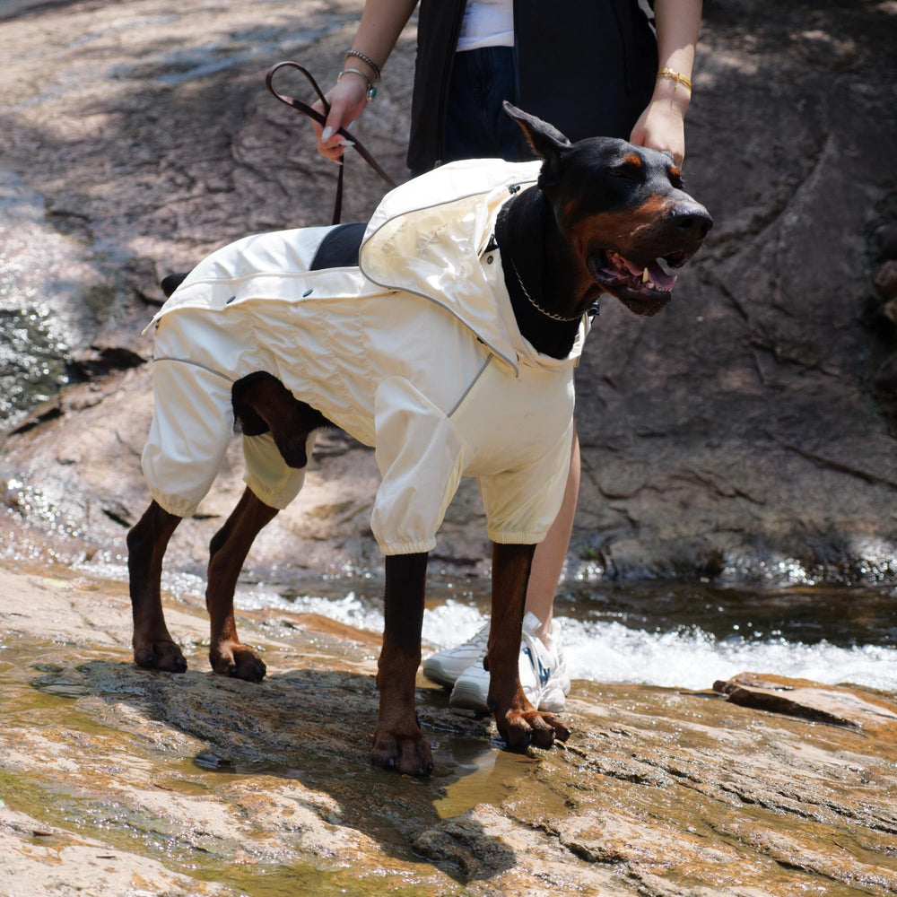 Lovelonglong four-leg coverage highlights protection of legs and belly during outdoor play.