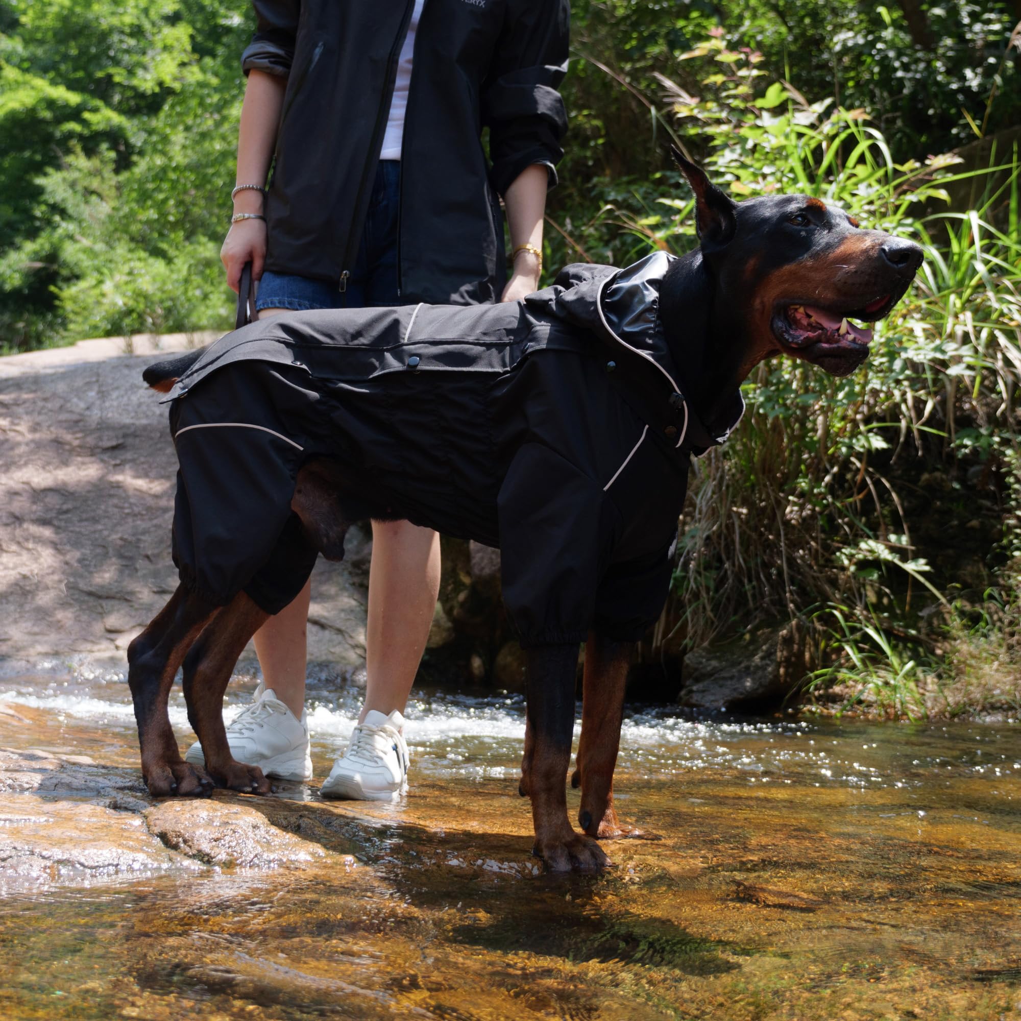 Lovelonglong waterproof dog raincoat hood-on style protects head during drizzles on outings.