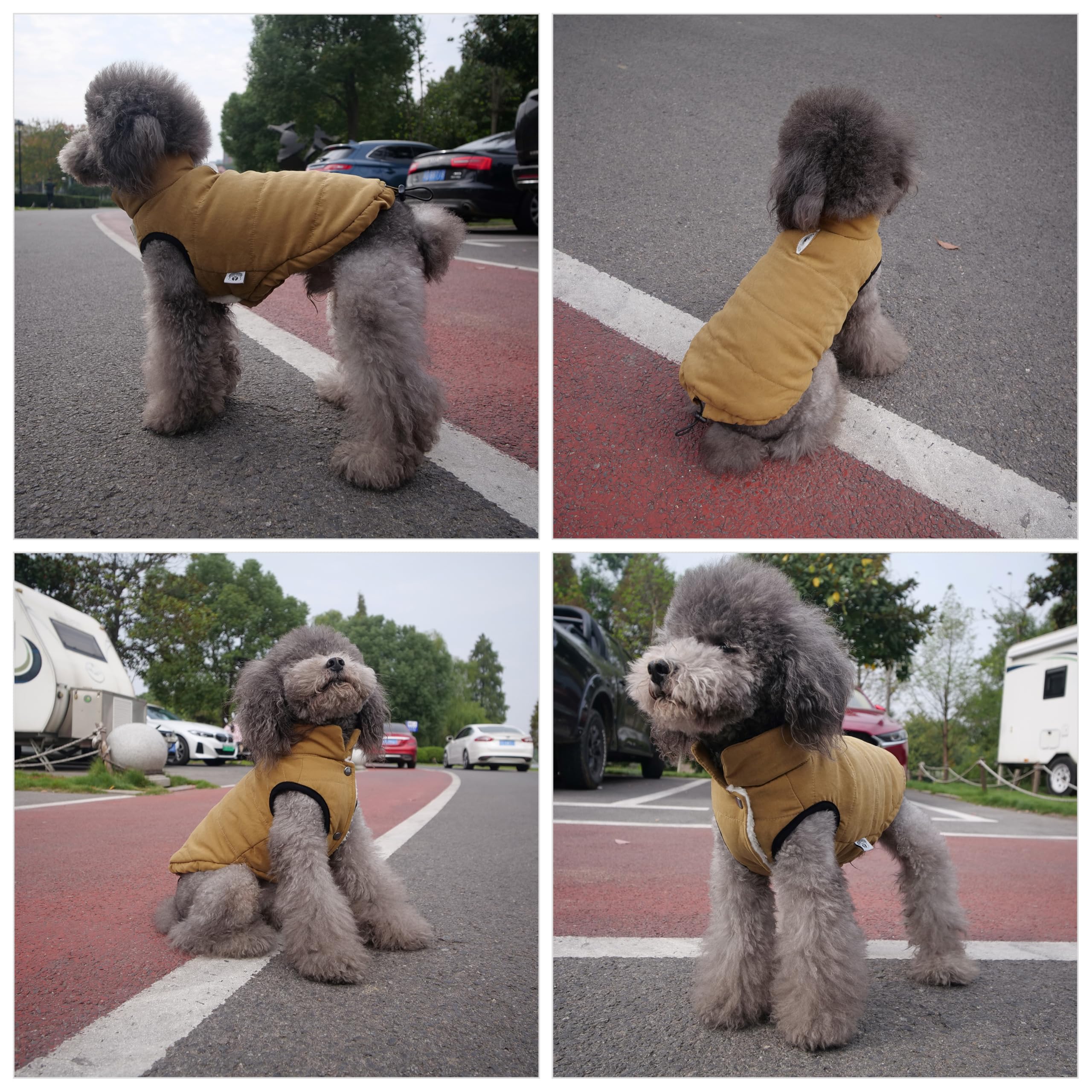 Lovelonglong winter vest on snow walk demonstrates stylish warmth during cold adventures.