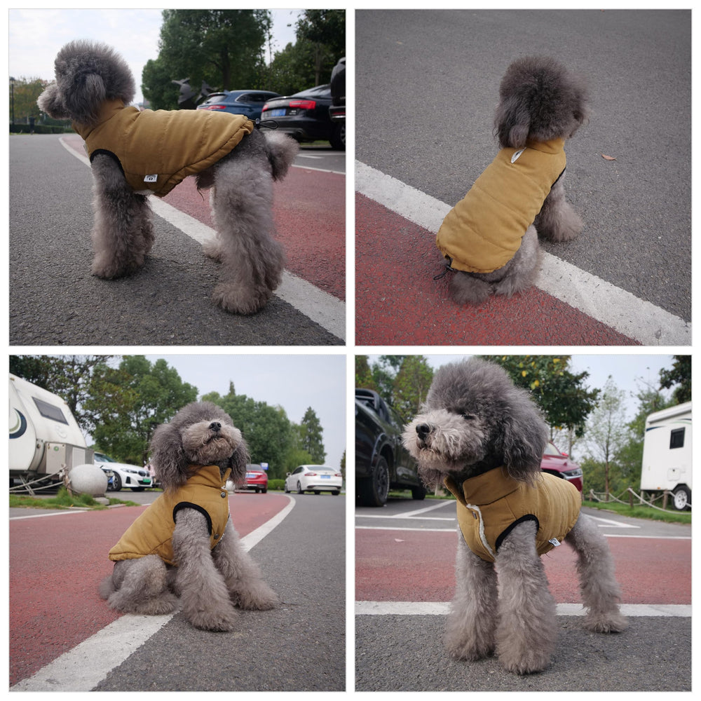 Lovelonglong winter vest on snow walk demonstrates stylish warmth during cold adventures.