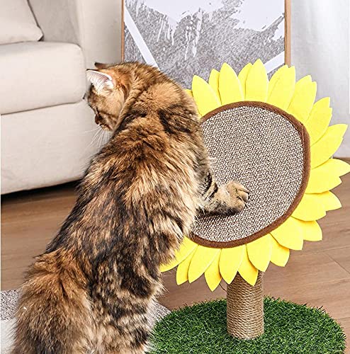 Lovely Caves cat resting perch on the sunflower post for cozy downtime.