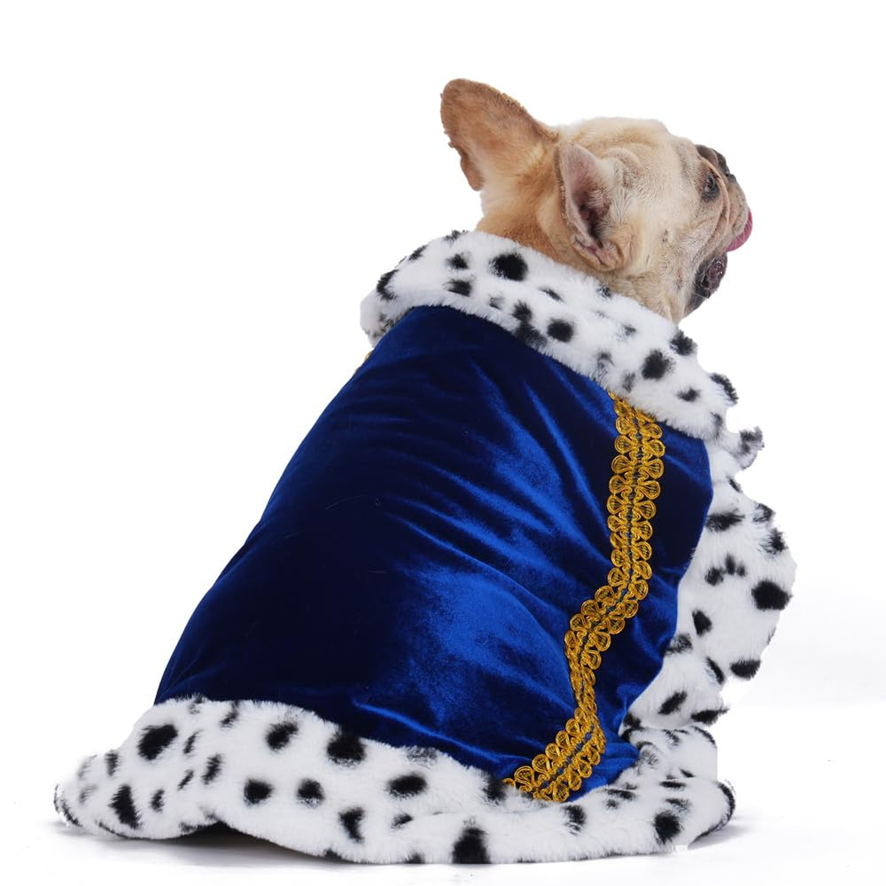 Lovelyshop Serial Lux Fur Blue Cloak on cat for Halloween fun