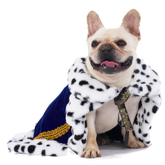 Lovelyshop Serial Lux Fur Blue Cloak on dog for festive cosplay