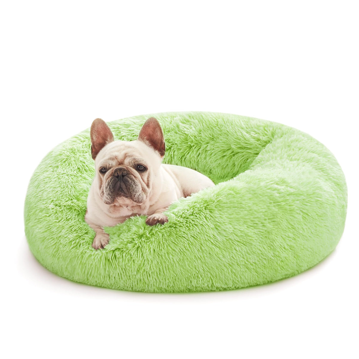 Love's cabin 20in cat bed with light-green nest walls for cozy security.