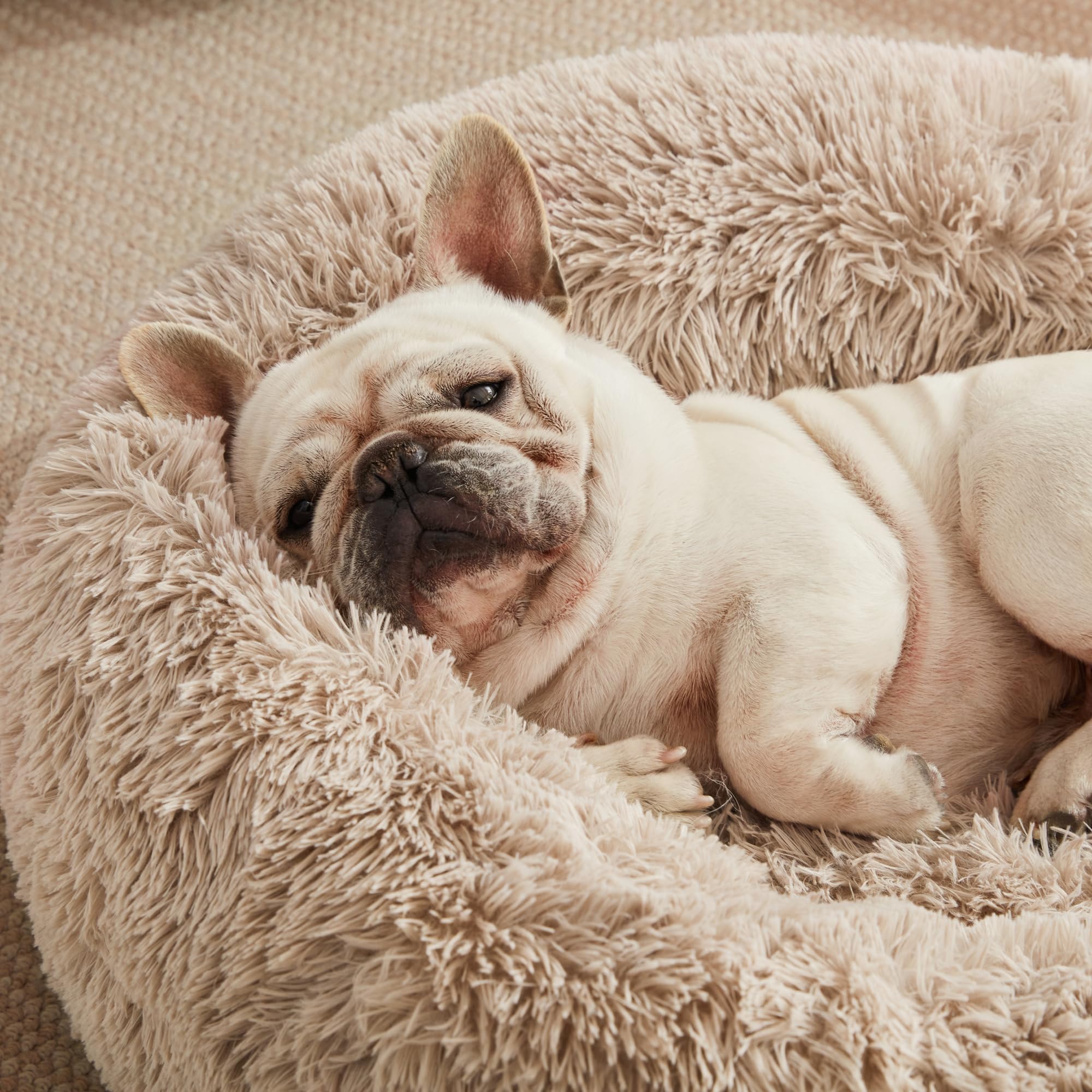 Love's cabin 20x20 inch bed suitable for small pets up to 15 lbs.