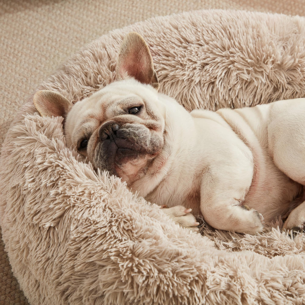 Love's cabin 20x20 inch bed suitable for small pets up to 15 lbs.
