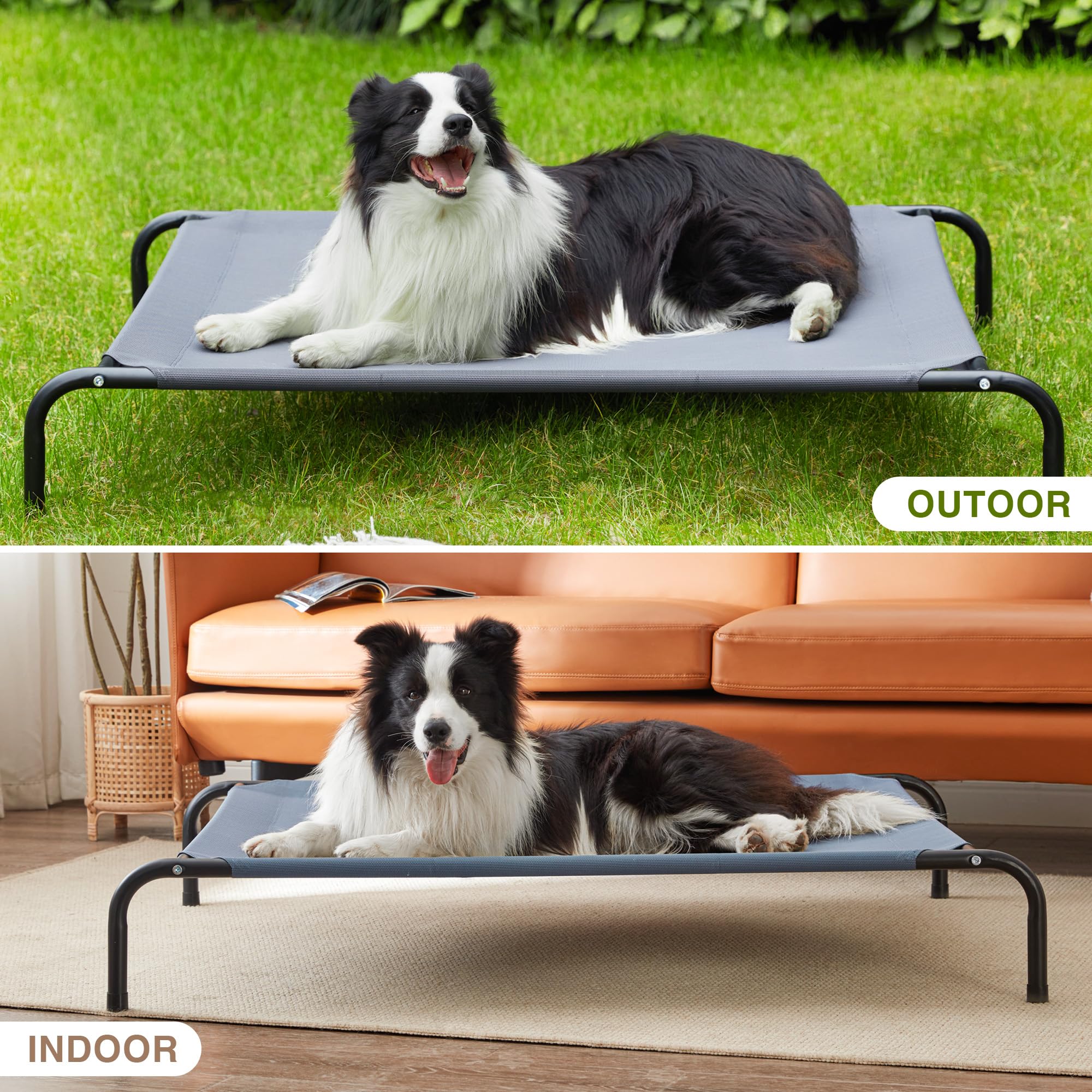 Love's cabin 48-inch dimensions; ample space for big dogs to stretch.