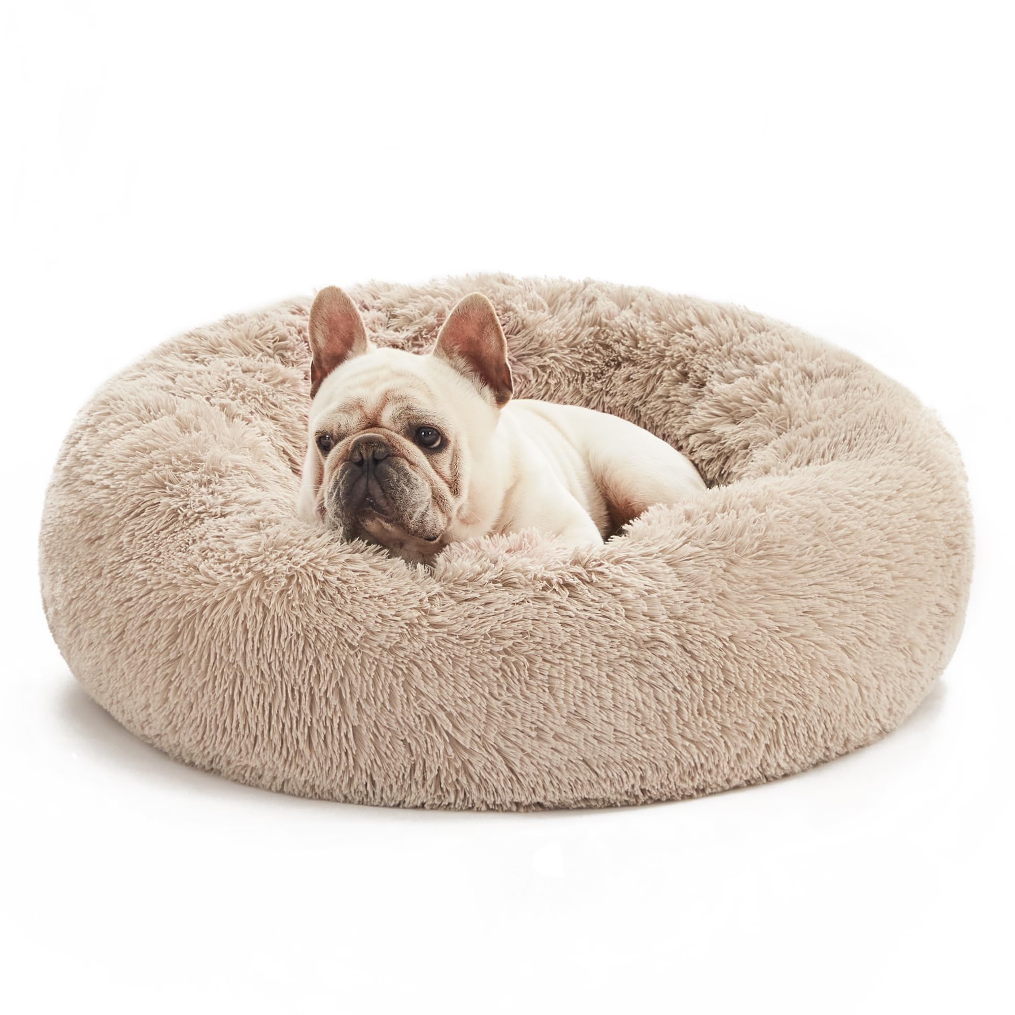 Love's cabin calming bed with nest-walls provides secure shelter for pets.