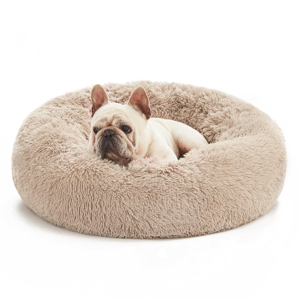 Love's cabin calming bed with nest-walls provides secure shelter for pets.