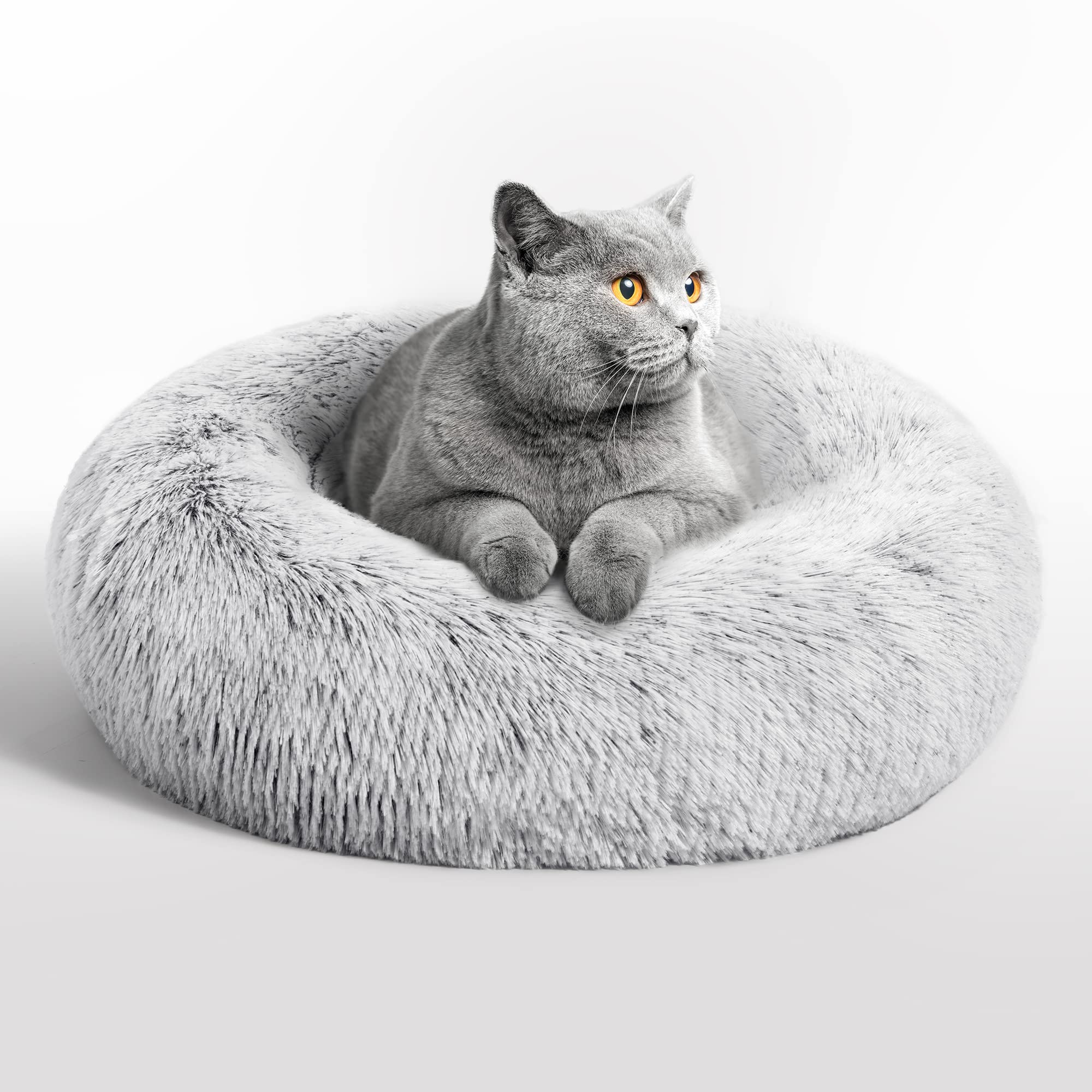 Love's cabin calming cat bed in indoor setting offers a secure cozy retreat.