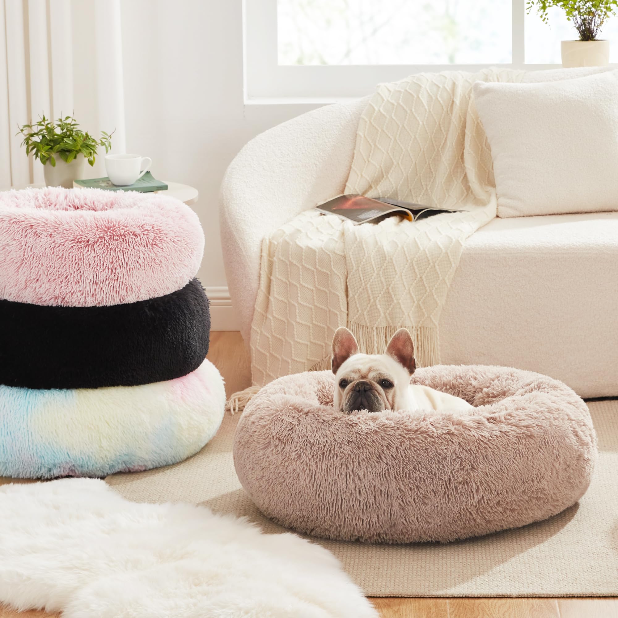 Love's cabin 24-inch bed fits cats and small dogs up to 25 lbs.