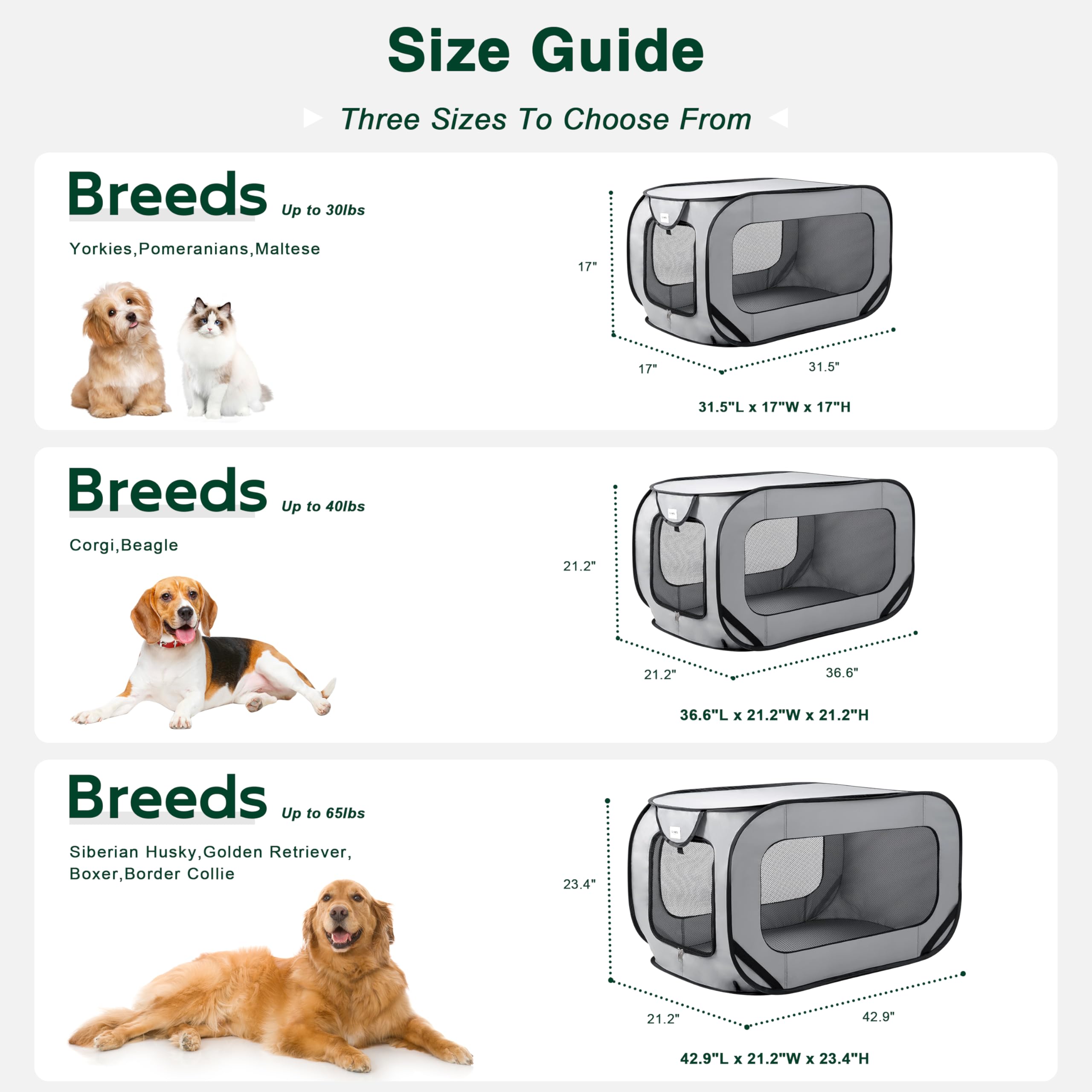 Love's Cabin car seatbelt strap secures kennel in vehicle
