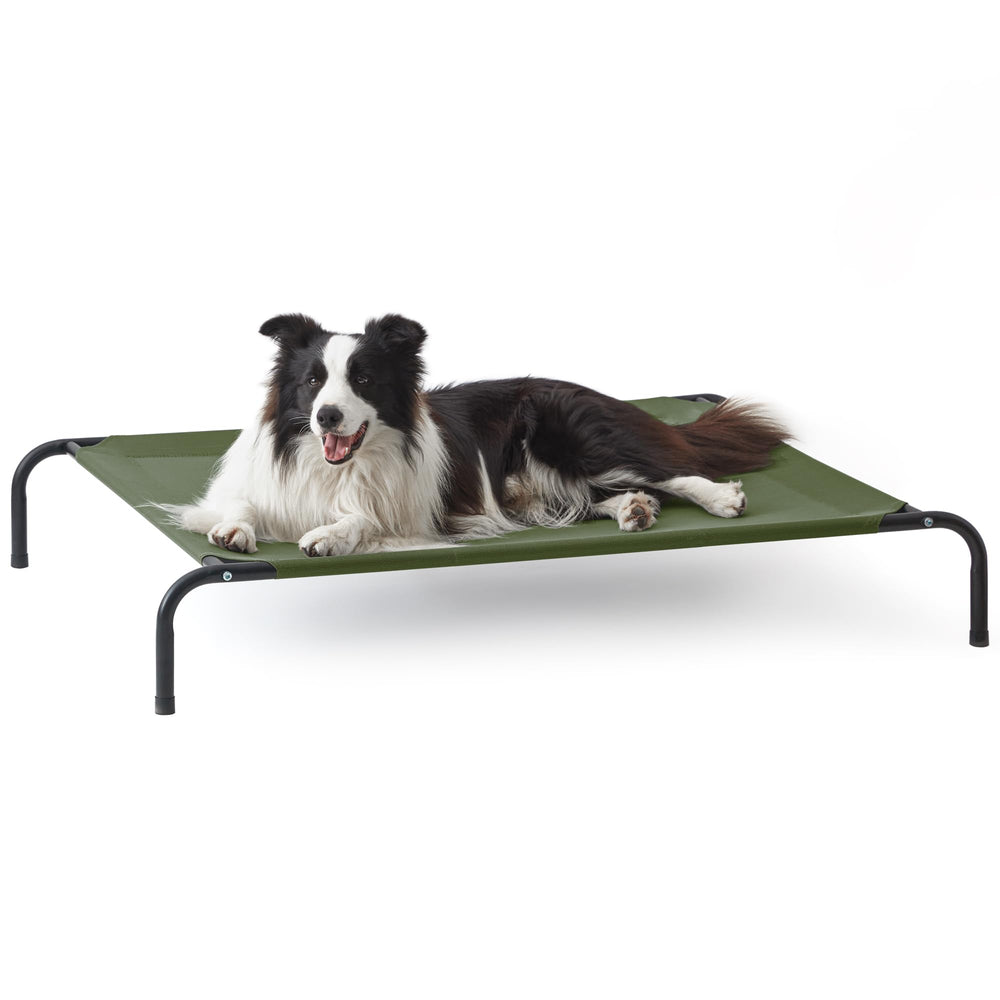 Love's cabin elevated dog bed 48-inch frame in use for large dog with dry resting surface