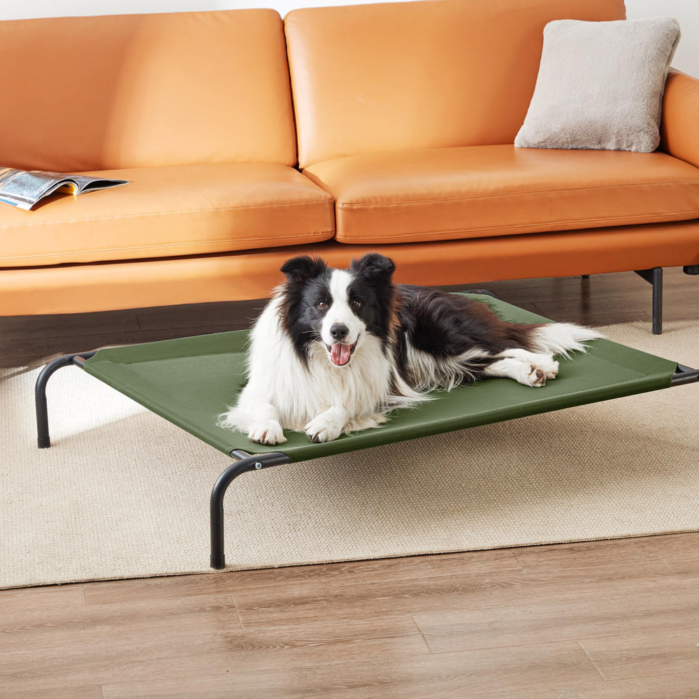 Love's cabin large dog resting comfortably on elevated cot during outdoor use