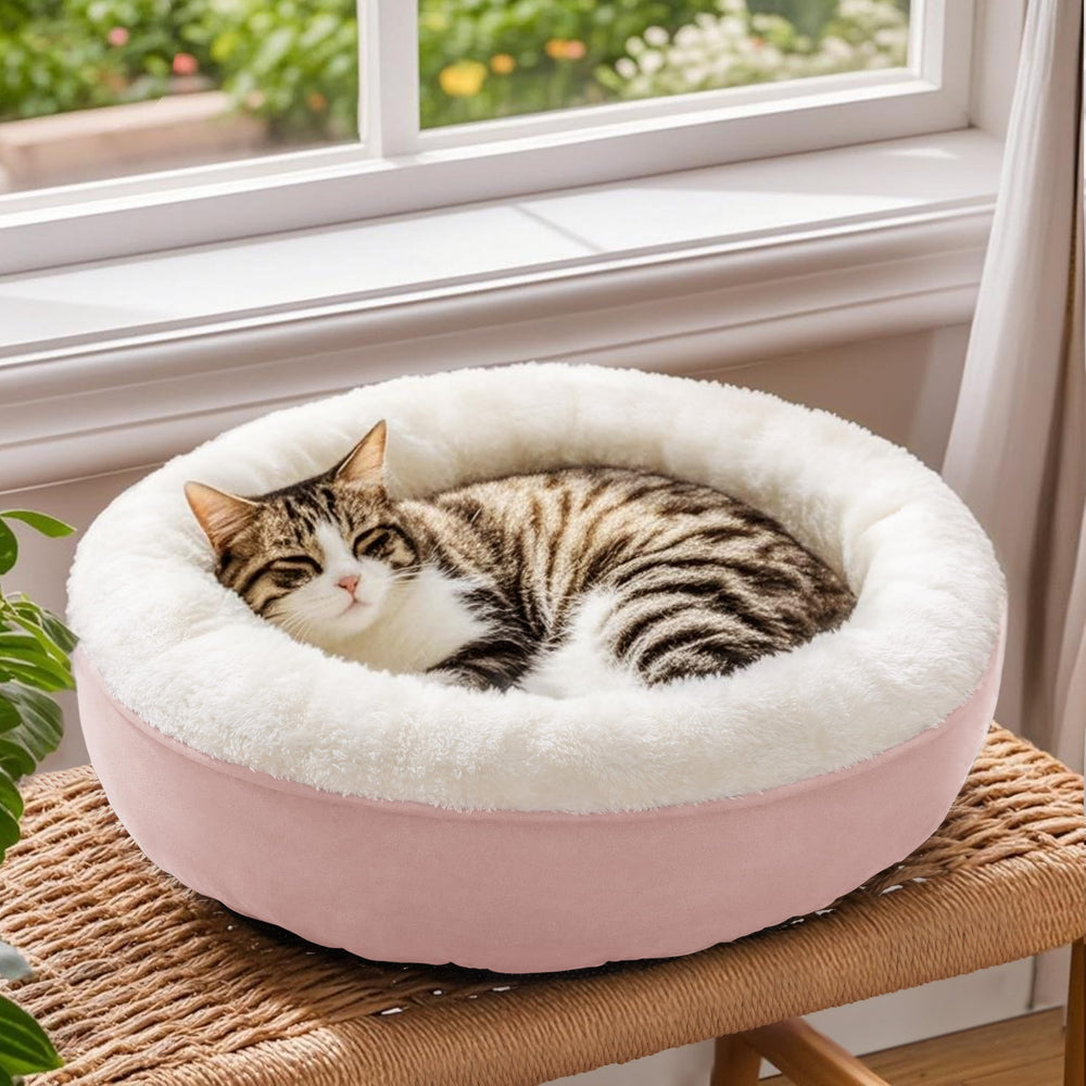 Love's cabin bed in pink complements cozy home decor.