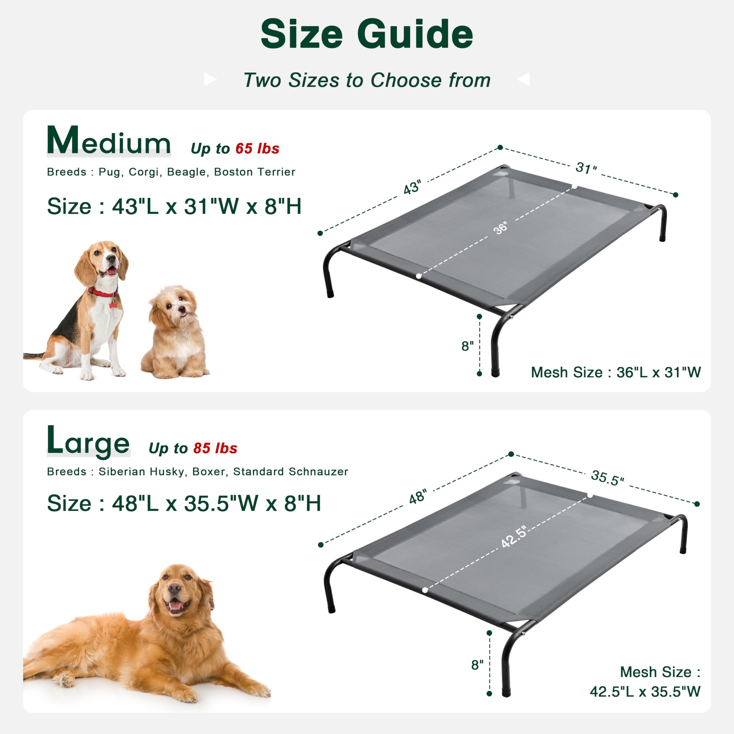 Love's cabin skid-resistant feet; protects floors and prevents slipping during excited entrances.