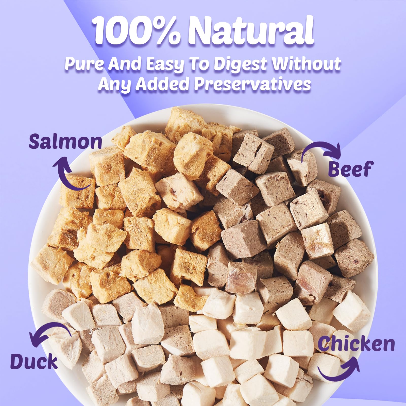 Loves4Pets freeze-dried turtle food feeding turtle to illustrate meal-time appeal