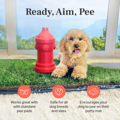 Lovewag Pets fire hydrant 8x14 indoor-use setup for home potty training.