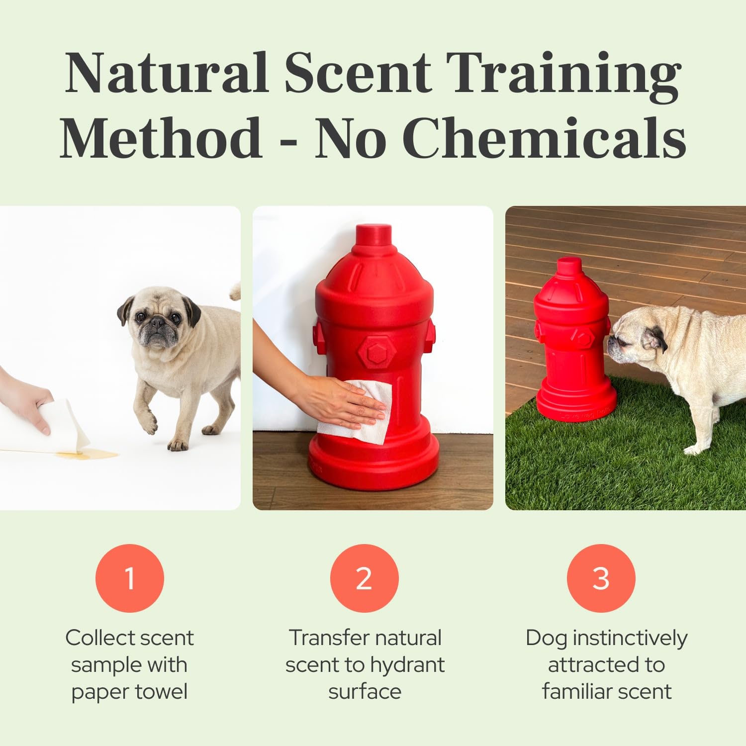 Lovewag Pets scent-transfer hydrant 8x14 demonstrates urine scent transfer method.