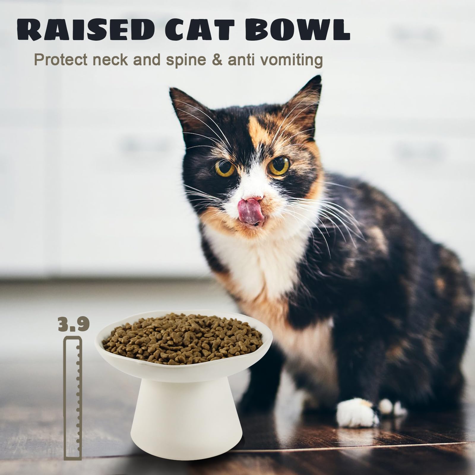 LOVINFURBABY dishwasher-safe cat bowl simplifies cleaning after busy feeding times