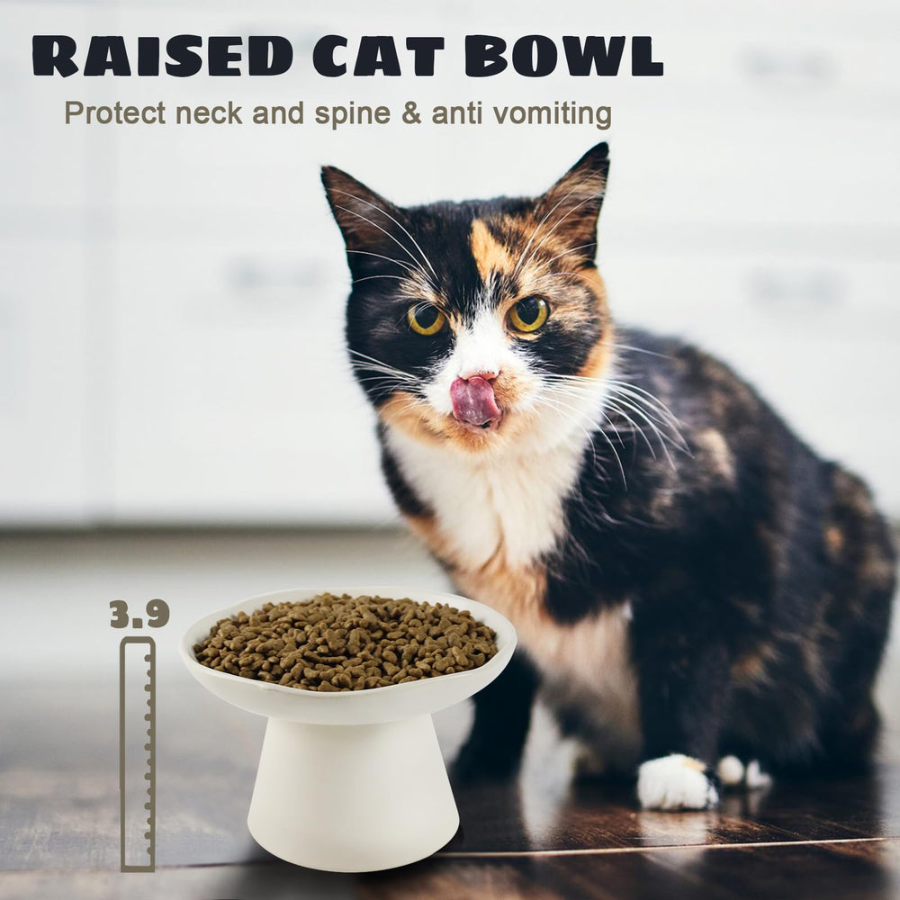 LOVINFURBABY dishwasher-safe cat bowl simplifies cleaning after busy feeding times